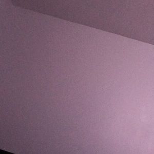 Meet your Posher, Rosa